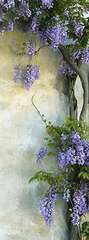 Фотопанно Divino Цветы на стене (C-292)